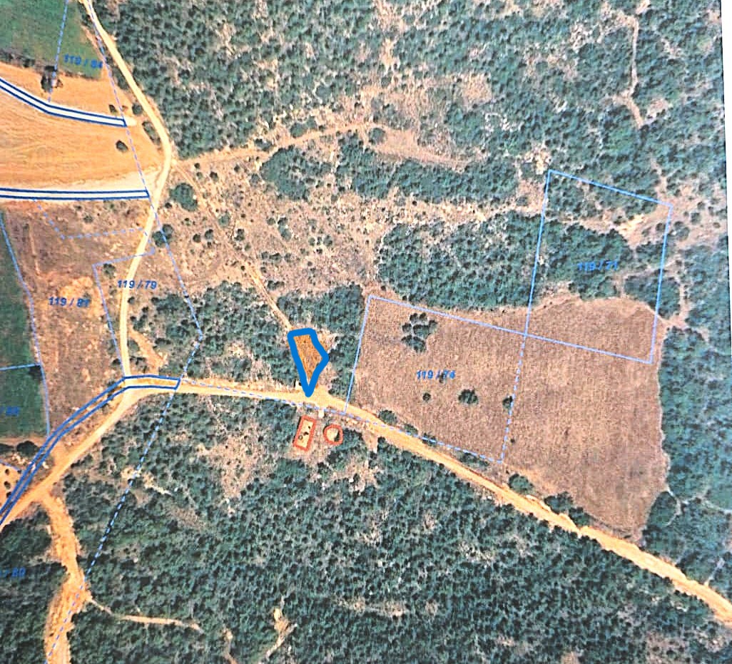 1 NİSAN 2026 YEŞİLKÖY FİDAN DİKİM ALANI