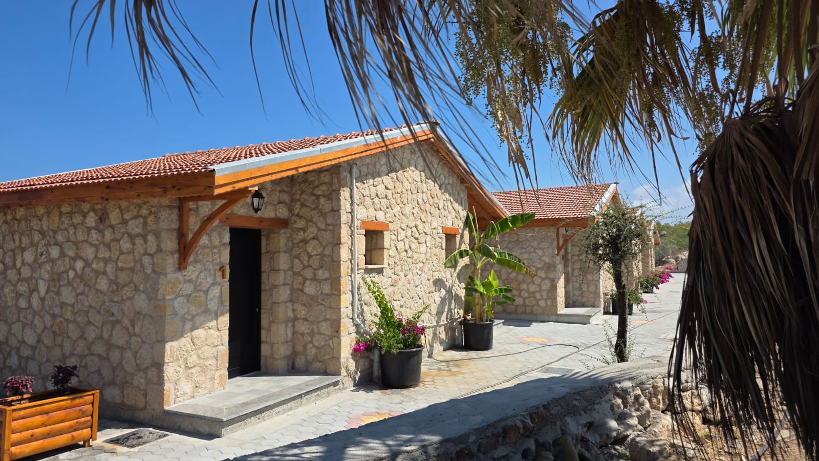 WhatsApp Image 2025 09 11 at 15.34.48 1