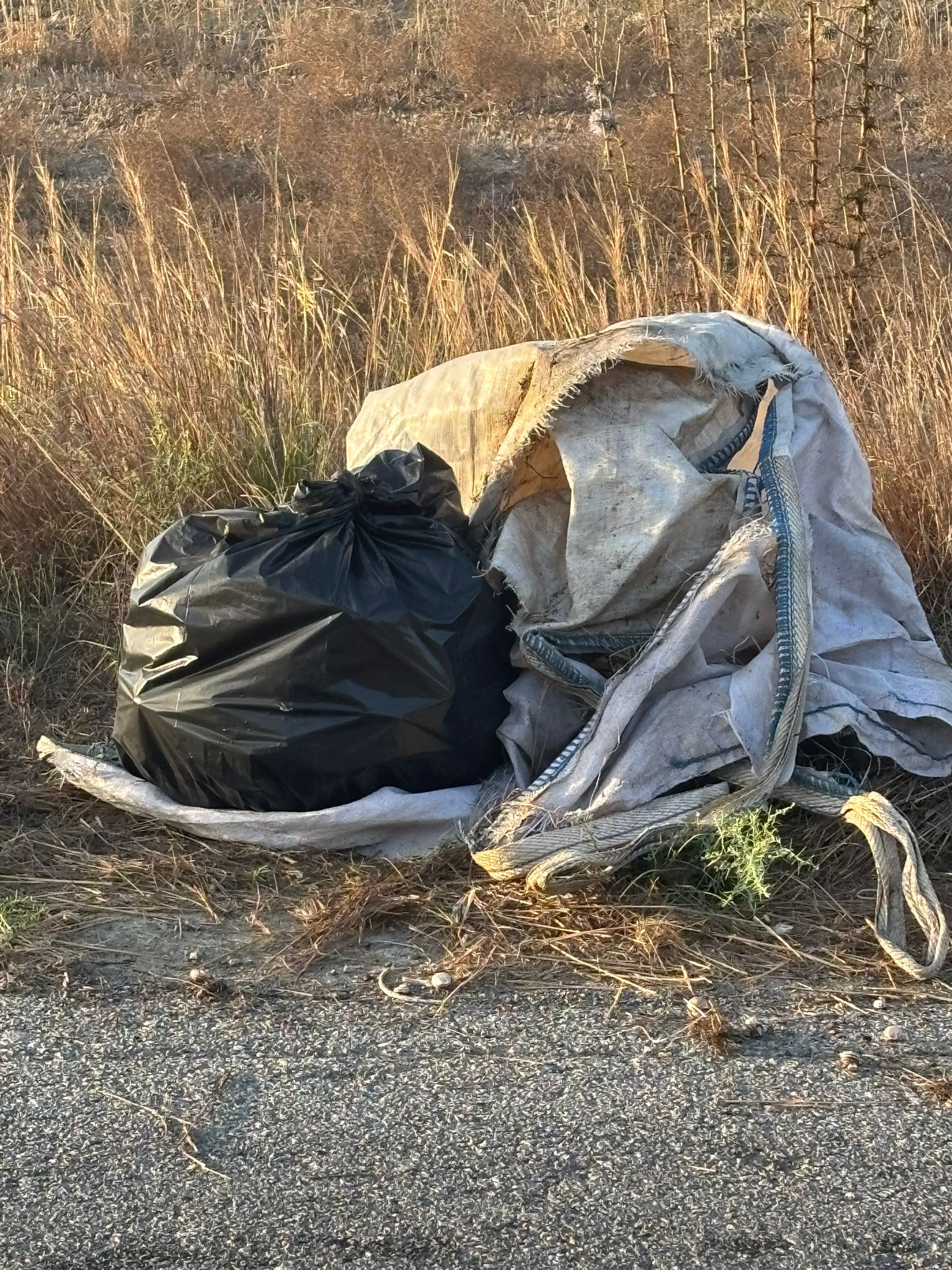 WhatsApp Image 2025 09 24 at 07.28.02