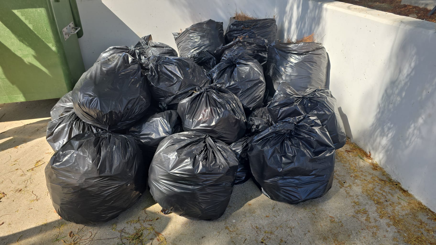 WhatsApp Image 2025 09 24 at 10.57.03