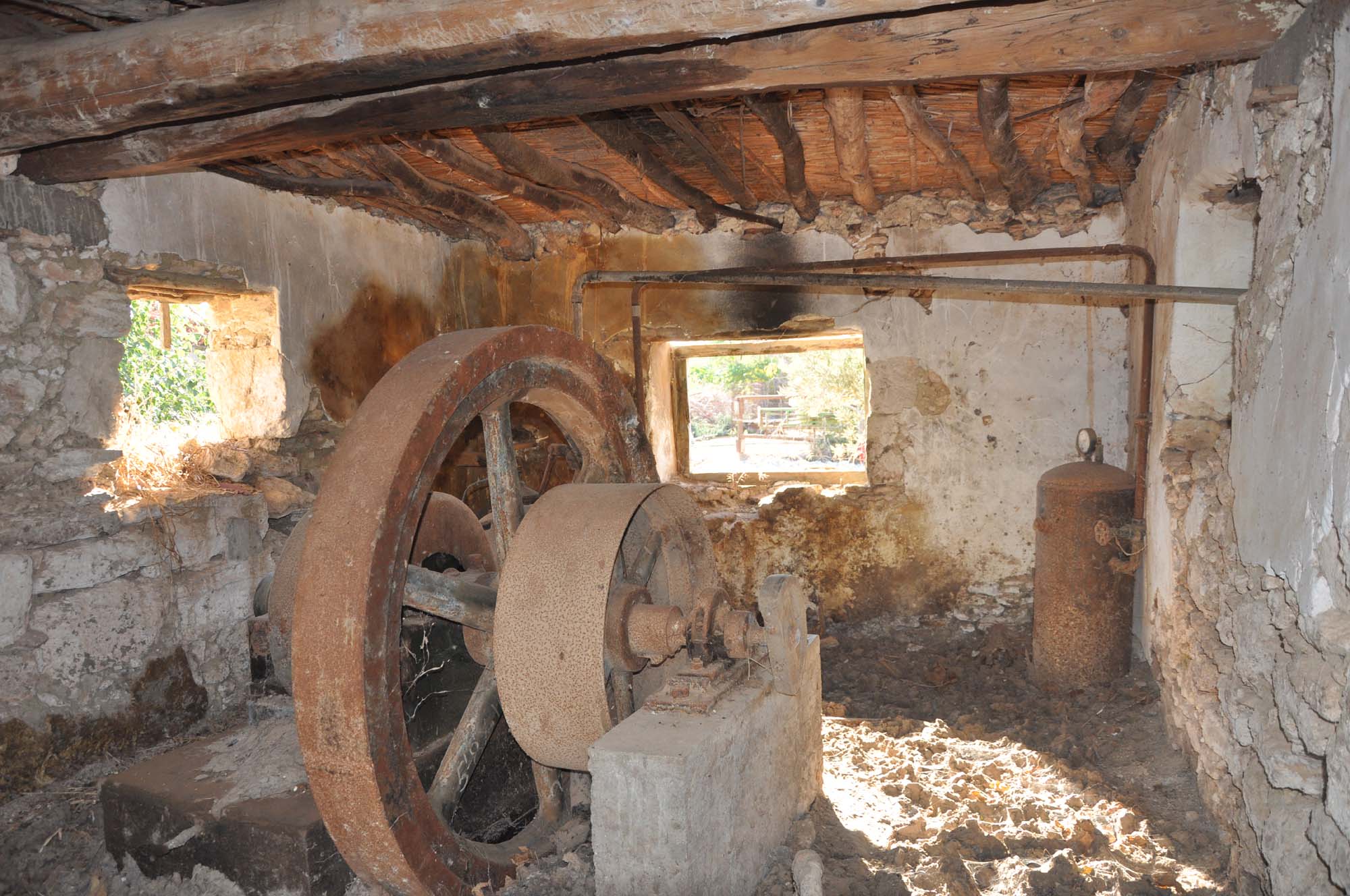 YEŞİLKÖY 12