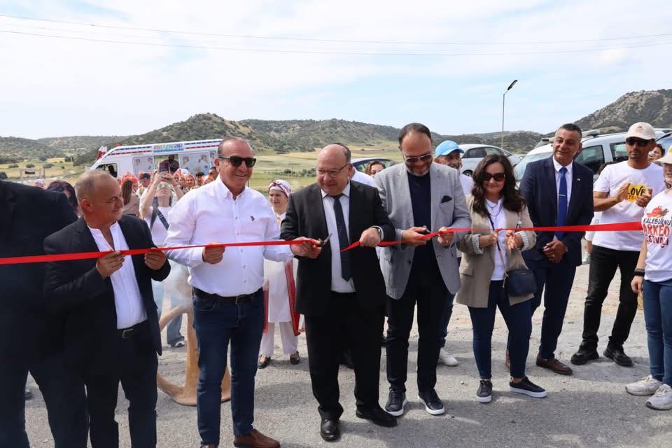 kale b aılıs