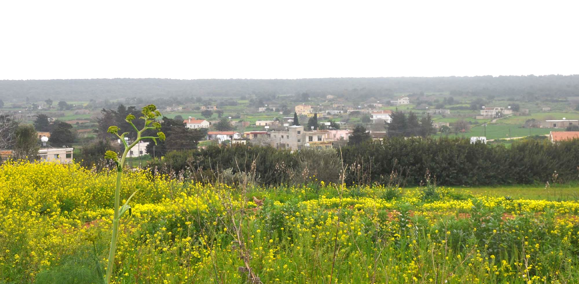 yesılkoy 