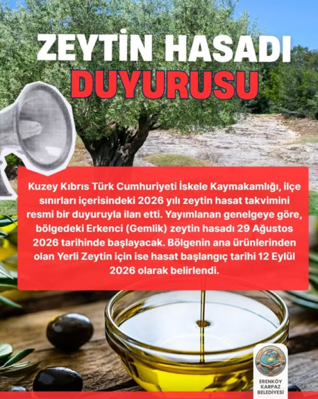 İskele&rsquo;de Zeytin Hasat tarihleri a&ccedil;ıklandı