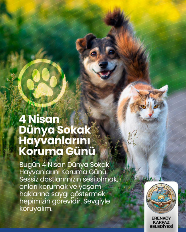 D&uuml;nya Sokak Hayvanları G&uuml;n&uuml;