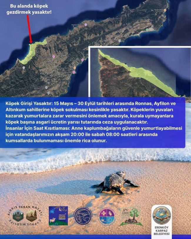Deniz Kaplumbağası Yuvalama Alanlarının Korunması
